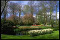 516088 Keukenhof Gardens, Holland A4 Photo Print