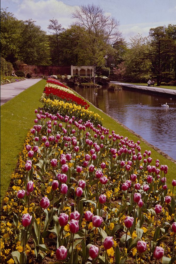 516092 Roundhay Park, Leeds, England A4 Photo Print