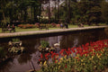 516093 Roundhay Park, Leeds, England A4 Photo Print