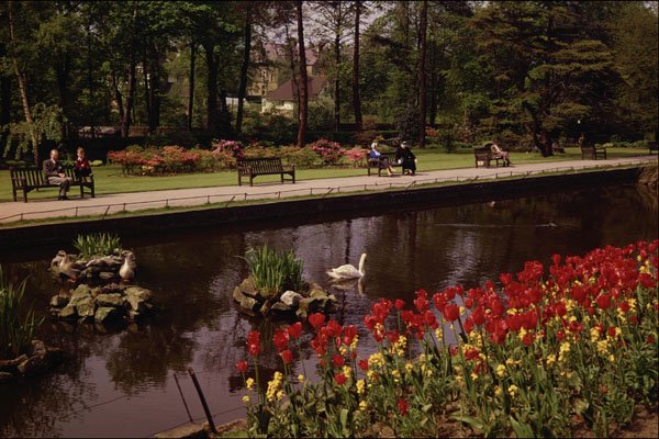 516093 Roundhay Park, Leeds, England A4 Photo Print