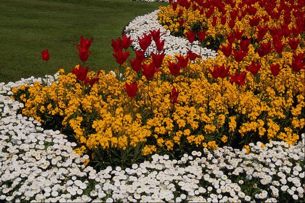 516099 Rainbow Flowerbeds A4 Photo Print