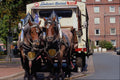 517012 Brewery Dray Horses A4 Photo Print