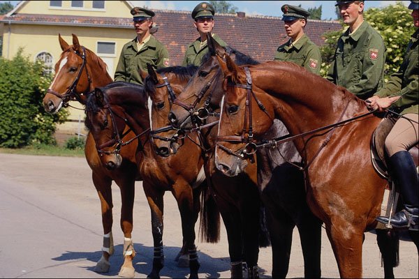 517016 Mounted Police A4 Photo Print
