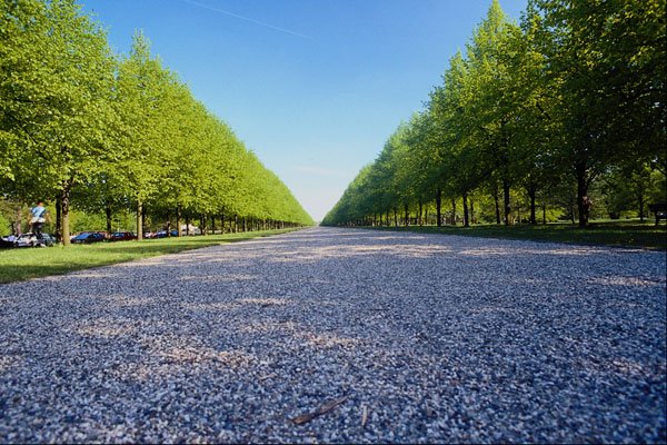 517032 Herrenhauser Allee, St. George's Garden A4 Photo Print