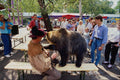 517069 Brown Bear Visiting The Hanover Zoo A4 Photo Print