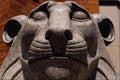 517079 Lion's Head From A Sculpture At The Art Center A4 Photo Print