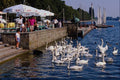 517084 Idyll At Masch Lake A4 Photo Print