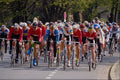 517097 International Cycle Racing A4 Photo Print
