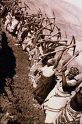 518059 In Lesotho, A Female Work Crew Builds A Road, 1969 A4 Photo Print
