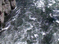 5189001980s 1990s A4 Photo Print