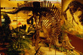519091 Canadian Museum Of Nature, Duck billed Dinosaur A4 Photo Print