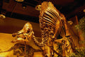 519092 Canadian Museum Of Nature, Duck billed Dinosaur A4 Photo Print