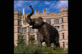 519098 Canadian Museum Of Nature, Mammoth A4 Photo Print