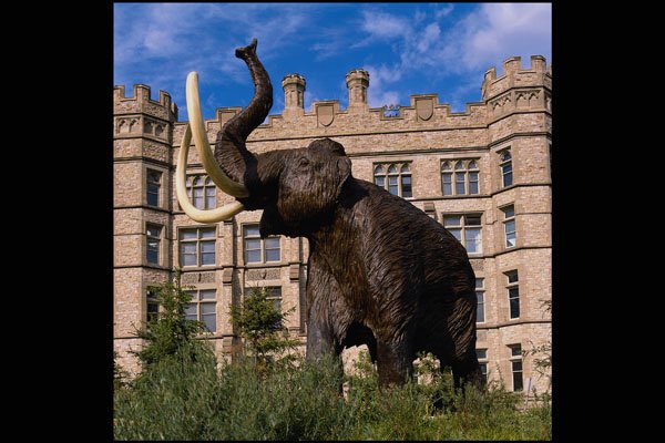 519098 Canadian Museum Of Nature, Mammoth A4 Photo Print