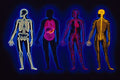 520000 Medical, Human Systems A4 Photo Print