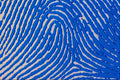 520041 Blue Fingerprint Magnified A4 Photo Print