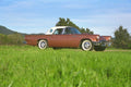 521002 Ford Thunderbird, 1957 A4 Photo Print