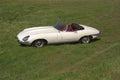 521038 1963 Jaguar A4 Photo Print