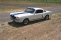 521057 1966 Shelby Ford Mustang A4 Photo Print
