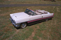 521088 1955 Packard A4 Photo Print