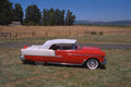 521091 1955 Chevrolet Bel Air A4 Photo Print