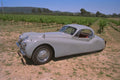 521092 1952 Jaguar Drop head Coupe A4 Photo Print