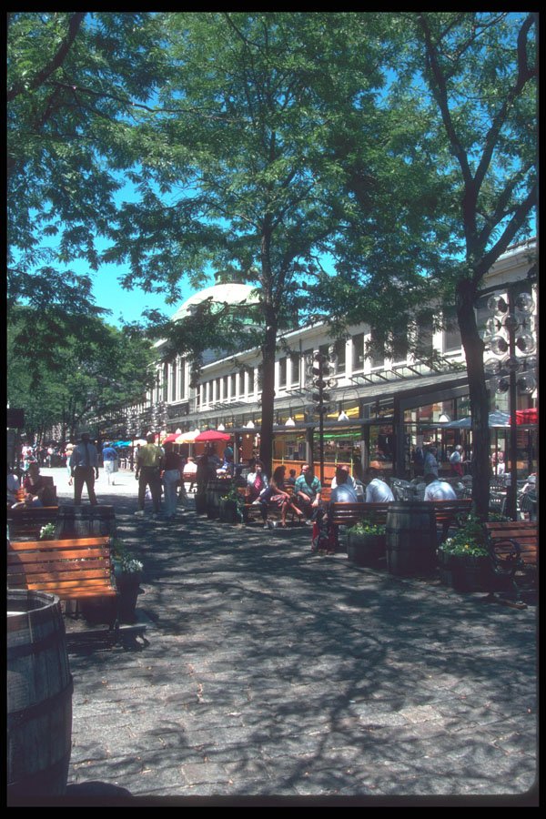 526004 Shaded Street, Quincy Market A4 Photo Print