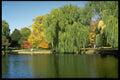 526007 Common A4 Photo Print