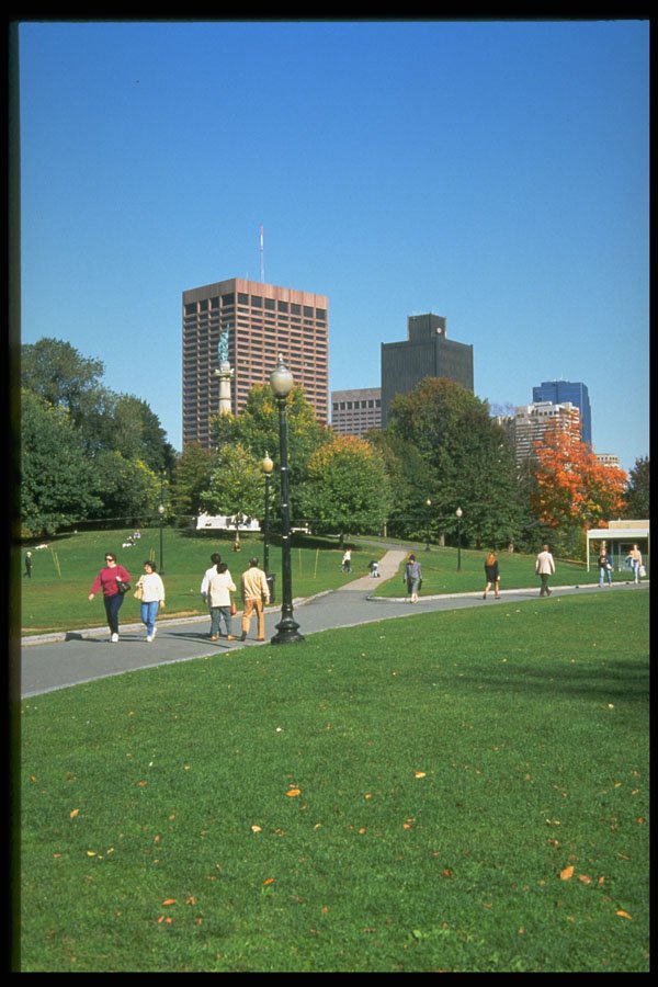 526008 Common A4 Photo Print