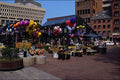 526021 Fresh Flowers Daily A4 Photo Print