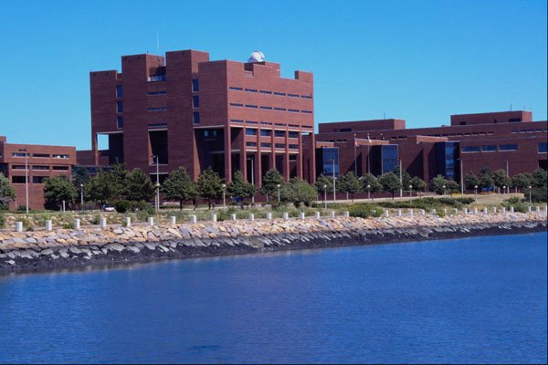 526041 University Of Massachusetts A4 Photo Print