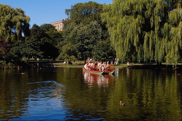 526052 Swan Boats And Lagoon A4 Photo Print
