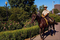 526059 Mounted Park Ranger A4 Photo Print