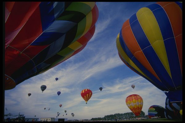 528007 Between Balloons A4 Photo Print