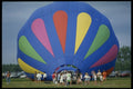 528040 Surrounded A4 Photo Print