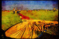 528056 Spread Out A4 Limited Edition Watercolour Print