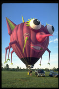 528063 The Gnat A4 Photo Print