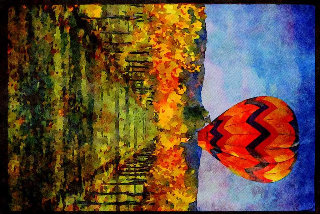 528086 Hot air Balloons Over Vines, Napa, California A4 Limited Edition Watercolour Print