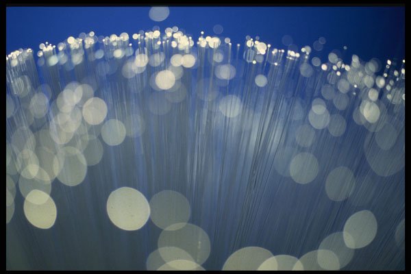 529005 Fiber Optic Strands A4 Photo Print