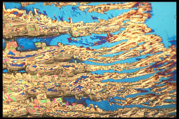 529016 Surge A4 Photo Print