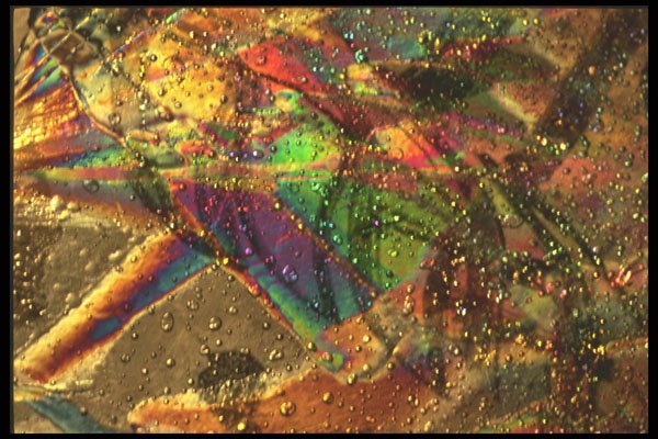 529017 Stamina A4 Photo Print