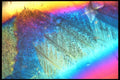 529020 Sagacity A4 Photo Print
