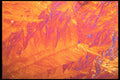 529025 Autumn A4 Photo Print