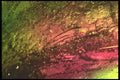 529026 Variations A4 Photo Print