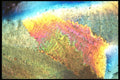 529028 Serenity A4 Photo Print