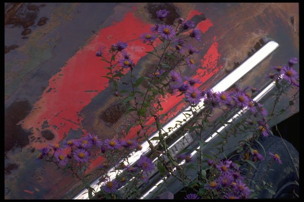 529032 Life Or Death A4 Photo Print