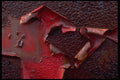 529033 Peeling Paint A4 Photo Print