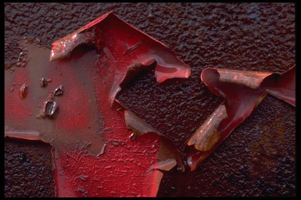 529033 Peeling Paint A4 Photo Print