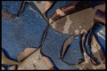 529041 Blistered Automotive Paint A4 Photo Print