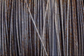529049 Wire A4 Photo Print